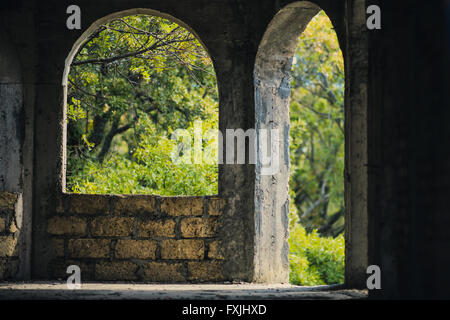 Finestra ad arco e porta in una casa abbandonata di calcare Foto Stock