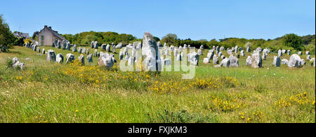 Foto panoramica del famoso pietre permanente a Carnac nel dipartimento di Morbihan, in Bretagna nel nord-ovest della Francia Foto Stock