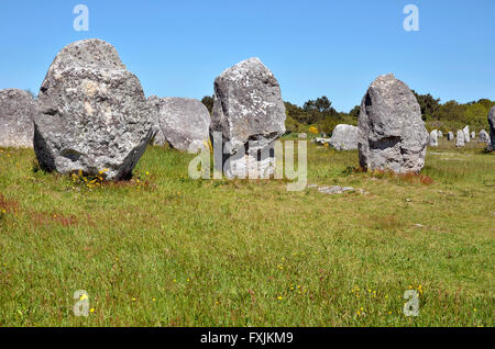 Famose pietre permanente a Carnac nel dipartimento di Morbihan, in Bretagna nel nord-ovest della Francia Foto Stock