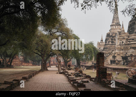 Wat Phra Si Sanphet nei pressi di Ayutthaya - Thailandia Foto Stock