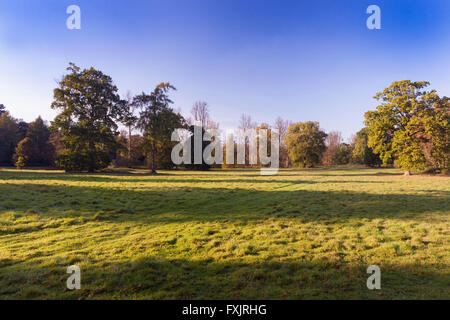 Parco Nowton vicino a Bury St Edmunds, Suffolk, Regno Unito Foto Stock