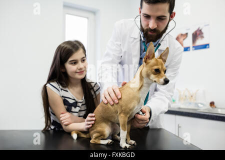 Vet esaminando il cane con il suo proprietario Foto Stock