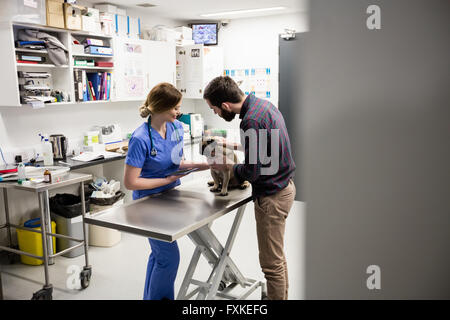 Vet esaminando il cane con il suo proprietario Foto Stock