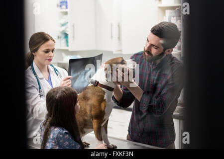 Proprietario giocando con il loro cane mentre vet cercando x-ray in background Foto Stock