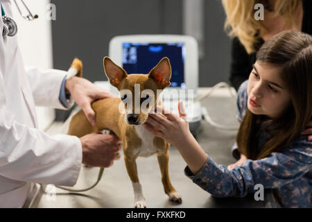 Vet esaminando un cane con il suo proprietario Foto Stock