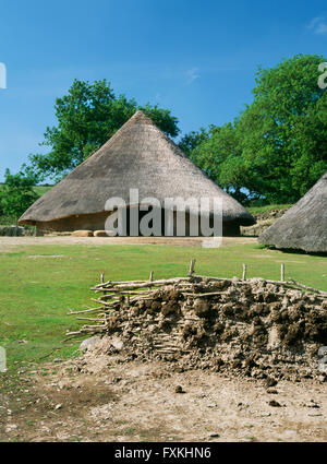 Ricostruito roundhouse 6 a Castell Henllys difeso insediamento occupata durante la tarda età del bronzo e età del ferro c 1000BC-AD60. Foto Stock