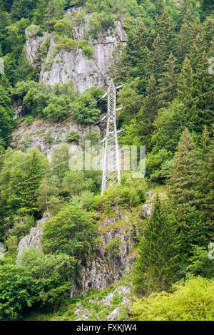Scenario della foresta con potenza palo attorno al Lac Noir nelle montagne Vosges vicino a Orbey in Alsazia, Francia Foto Stock