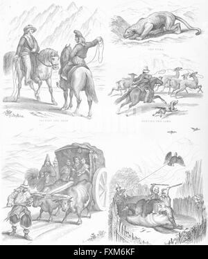 Cile: Capataz Peon; puma; caccia lama; Chase Condor, antica stampa c1849 Foto Stock
