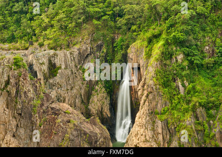 Barron cade nel lontano Nord Queensland circondato da foresta pluviale. Foto Stock