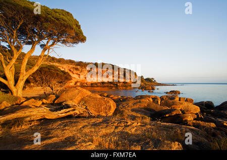 Primo semaforo su Bunker Bay, nel sud-ovest dell'Australia. Foto Stock