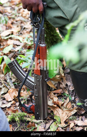 Fotografia di © Jamie Callister. Uno scimpanzé Trekking nella foresta di Kibale National Park, Uganda, Africa centrale, 27 Febbraio 2016 Foto Stock