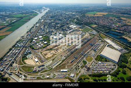 Vista aerea, BASF Ludwigshafen, Baden anilina e fabbriche di soda di Ludwigshafen, impianto chimico, Kombo-Terminal KTL Ludwigshafen, Foto Stock