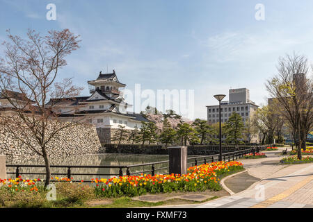 Il castello di Toyama, Toyama, Giappone Foto Stock