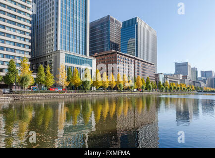 Marunouchi in autunno, Tokyo, Giappone Foto Stock