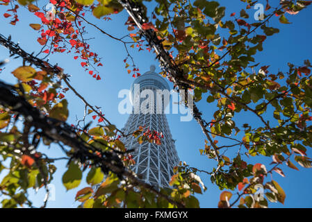 Tokyo Skytree torre in Giappone Foto Stock