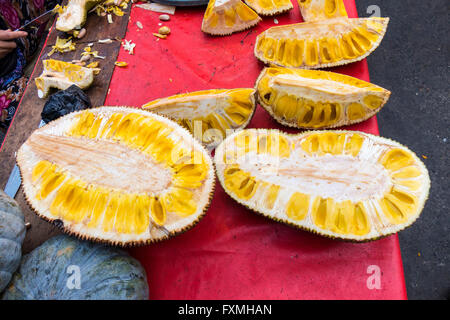 Jackfruit, Denpasar, Bali, Indonesia Foto Stock