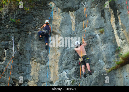 Maschio e femmina di scalatori in caschi arrampicata su pietra calcarea su Railay Beach nella provincia di Krabi, Thailandia. Foto Stock