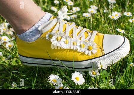 Sneakers giallo decorato con margherite in un campo dasiy Foto Stock