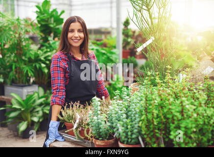 Sorridente giovane femmina horticulturalist lavorando in una serra a un vivaio sta in piedi in una tabella che mostra di piante in vaso sorridente Foto Stock