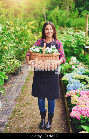 Felice successo femmina giovane fioraio la raccolta dei fiori per la vendita in un grande cesto di vimini sorridente permanente presso la telecamera betwee Foto Stock