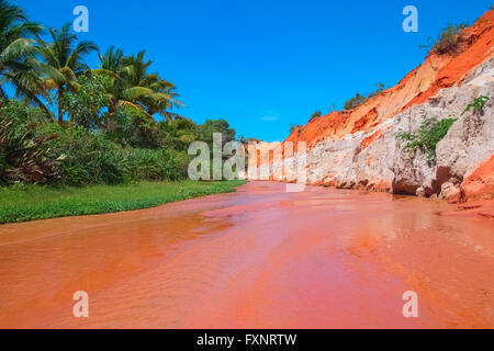 Red River tra le dune di sabbia e la giungla. Flusso di Fairy Canyon, Mui Ne, Vietnam, sud-est asiatico Foto Stock