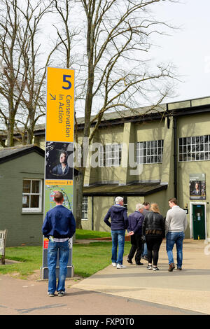 I visitatori presso l'Imperial War Museum Duxford, REGNO UNITO Foto Stock