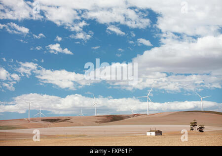 Per centrali eoliche, Overberg, Caledon, Western Cape, Sud Africa. Foto Stock