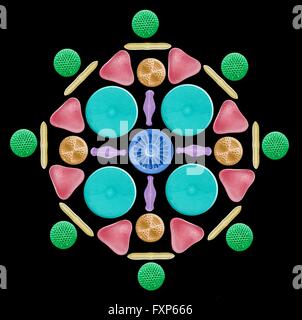 Diatomee e radiolaria. Color scanning electron microfotografia (SEM) di una disposizione circolare di varie diatomee e radiolaria. Le diatomee sono planctonici alghe unicellulari. Essi hanno un mineralizzata parete cellulare (frustolo stesso) diviso in due metà. Il frustolo stesso contiene silice e fornisce protezione e supporto. Radiolari sono amoeboid protozoi che producono minerale intricate scheletri. Essi sono come lo zooplancton in tutta l'oceano, e i loro resti scheletrici di coprire grandi porzioni del fondo dell'oceano come radiolarian ooze. Foto Stock