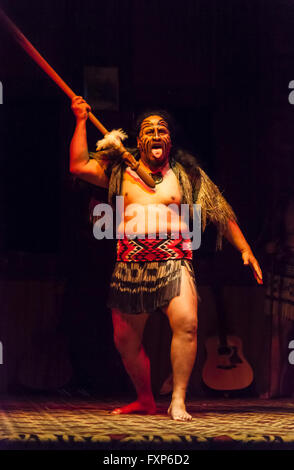 Indigeni Maori tradizioni culturali: un guerriero eseguendo una tradizionale danza haka, Rotorua, Isola del nord, Nuova Zelanda Foto Stock