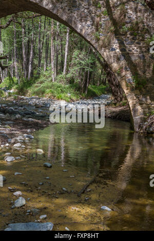 Tzielefos Bridge è uno splendido e pittoresco ponte, essendo uno dei ponti medievali situato tra Elia e Roudia bridg Foto Stock