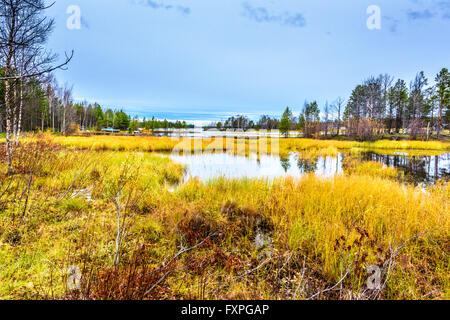 La colorata foreshores del lago Inari a Nellim in completo abito autunnale Foto Stock