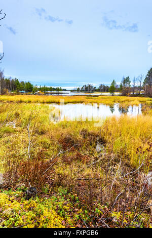 La colorata foreshores del lago Inari a Nellim in completo abito autunnale Foto Stock