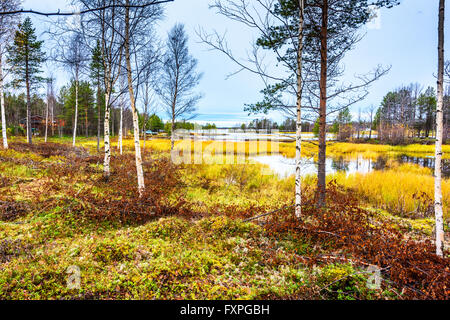 La colorata foreshores del lago Inari a Nellim in completo abito autunnale Foto Stock