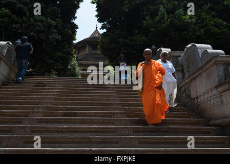 Un sacerdote a piedi su per le scale di Kelaniya Raja Maha Vihara tempio in Colombo, Sri Lanka Foto Stock