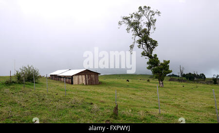 Kapchorwa, Uganda. 16 Aprile, 2016. Un'immagine vista sulla piazza del villaggio Teryet incastonato sulle pendici del monte Elgon in Uganda. La zona vergine sarà home in Uganda il primo High Altitude Sports Training Center. Lo sviluppo sarebbe salvare gli atleti ugandesi da coprire lunghe distanze di treno in altopiani del Kenya. Foto Stock