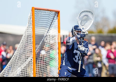 Aprile 16, 2016; Providence, RI, USA; Yale Bulldogs goalie Phil Huffard (35) in azione durante il NCAA Lacrosse gioco tra Yale Bulldogs e orso bruno in campo Stevenson-Pincince. Brown ha sconfitto la Yale 14-12. M. Anthony Nesmith/Cal Sport Media Foto Stock