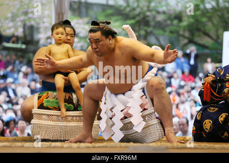 Tokyo Giappone. Xviii Apr, 2016. Harumafuji, Sumo : annuale torneo di sumo dedicata al Santuario Yasukuni a Tokyo in Giappone. Credito: YUTAKA AFLO/sport/Alamy Live News Foto Stock