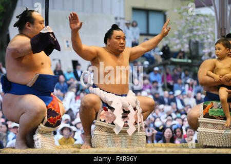 Tokyo Giappone. Xviii Apr, 2016. Harumafuji, Sumo : annuale torneo di sumo dedicata al Santuario Yasukuni a Tokyo in Giappone. Credito: YUTAKA AFLO/sport/Alamy Live News Foto Stock