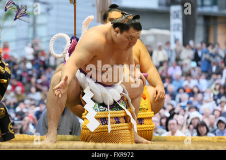Tokyo Giappone. Xviii Apr, 2016. Hakuho, Sumo : annuale torneo di sumo dedicata al Santuario Yasukuni a Tokyo in Giappone. Credito: YUTAKA AFLO/sport/Alamy Live News Foto Stock