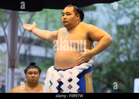 Tokyo Giappone. Xviii Apr, 2016. Kakuryu, Sumo : annuale torneo di sumo dedicata al Santuario Yasukuni a Tokyo in Giappone. Credito: YUTAKA AFLO/sport/Alamy Live News Foto Stock
