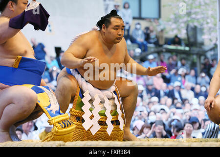 Tokyo Giappone. Xviii Apr, 2016. Kakuryu, Sumo : annuale torneo di sumo dedicata al Santuario Yasukuni a Tokyo in Giappone. Credito: YUTAKA AFLO/sport/Alamy Live News Foto Stock