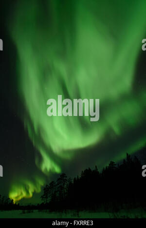 Aurora Boreale a Nellim in Finlandia Foto Stock