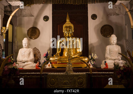 Sri Lanka, Kandy, tempio del Dente, Alut Maligawa, nuovo santuario Camera, Golden Buddha tailandese Foto Stock