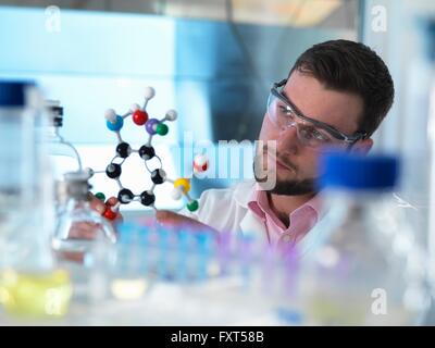 Scienziato esaminando il modello molecolare in laboratorio Foto Stock