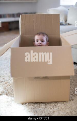 Baby boy in una scatola di cartone che spuntavano Foto Stock