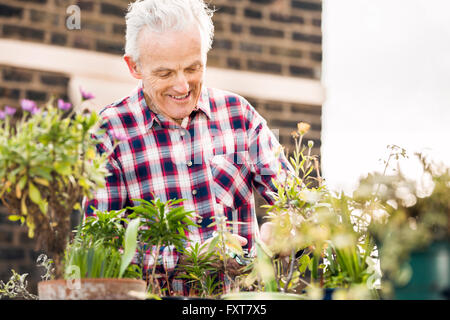 Senior uomo tendente invasati sulla città giardino sul tetto Foto Stock