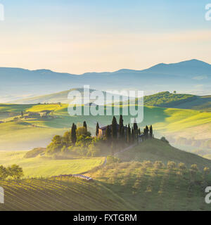 Toscana a molla Foto Stock