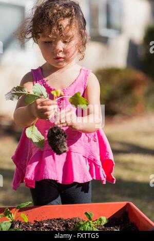 Giovane ragazza in giardino, impianto di contenimento Foto Stock