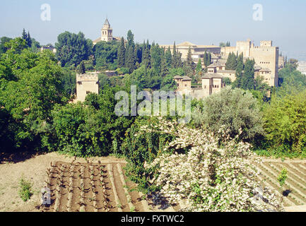 Il giardino del mercato in El Palacio de Generalife e vista di La Alhambra. Granada, Spagna. Foto Stock