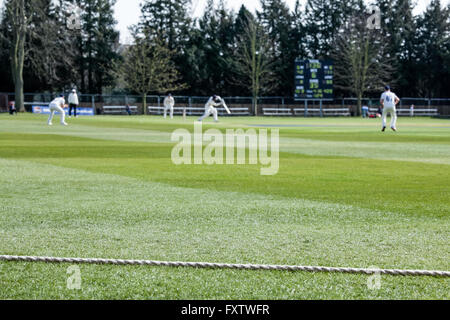 Vista dal confine della partita di cricket, Cambridge, Inghilterra, Regno Unito Foto Stock